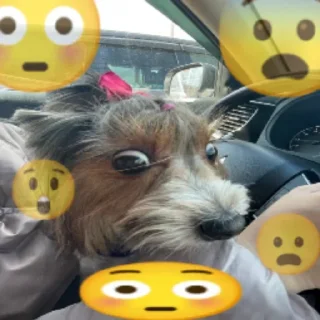 Стикер стикеры @stikerk877 - 2