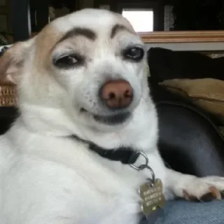 Стикер стикеры @stikerk877 - 5