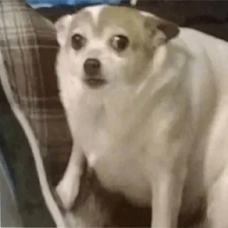 Стикер стикеры @stikerk877 - 11