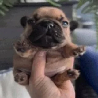 Стикер стикеры @stikerk877 - 8