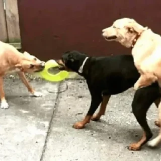 Стикер стикеры @stikerk877 - 9