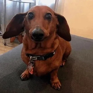 Стикер стикеры @stikerk877 - 10