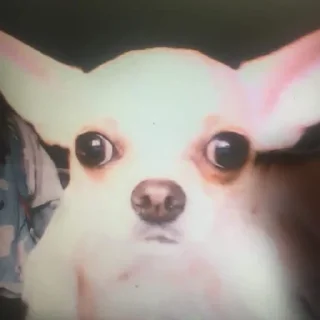 Стикер стикеры @stikerk877 - 6