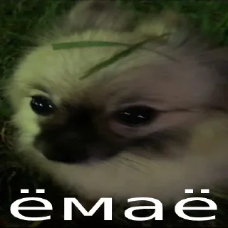 Стикер стикеры @stikerk877 - 1