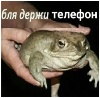 Sticker @sexstikkers - 9