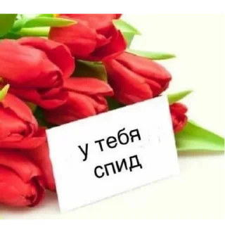 Sticker Больше стиков тут: @stikery4 - 2