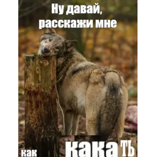 Sticker Больше стиков тут: @stikery4 - 4