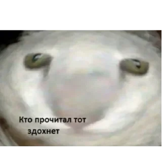 Sticker Больше стиков тут: @stikery4 - 7