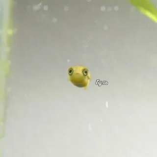 Sticker Больше стиков тут: @stikery4 - 3