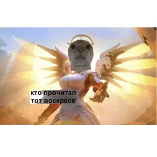 Sticker Больше стиков тут: @stikery4 - 5