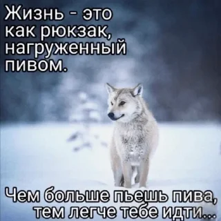 Sticker Пиво by @upbeerbot - 2