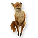 Sticker УпоротаяЛиса - 6