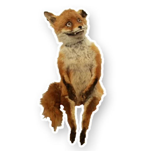 Sticker uporoty_fox - 1
