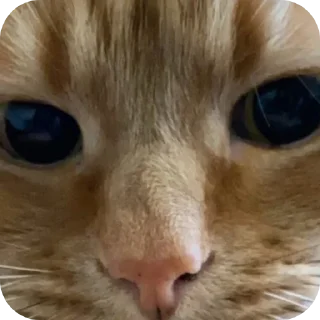 Sticker урагначик💕 - 5