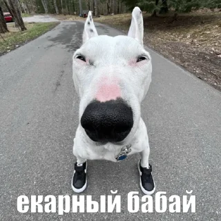 Sticker критическая масса урана 238 - 1