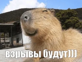 Sticker критическая масса урана 238 - 6