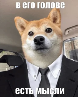 Sticker критическая масса урана 238 - 0