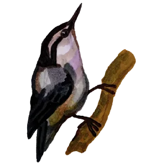 Sticker urbancode_birds - 1