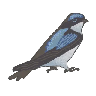 Sticker urbancode_birds - 5