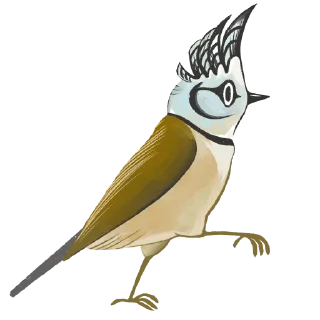 Sticker urbancode_birds - 10