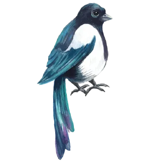 Sticker urbancode_birds - 7