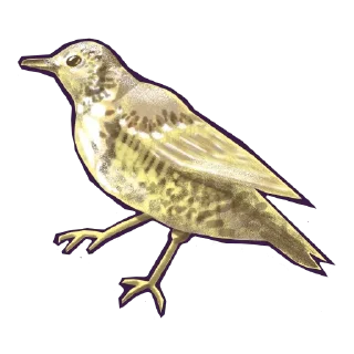 Sticker urbancode_birds - 3