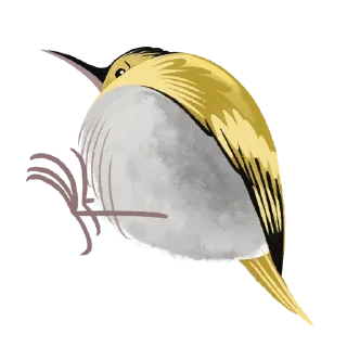 Sticker urbancode_birds - 11