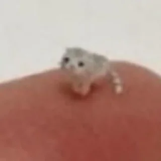 Стикер strange picks - 1