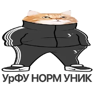 Sticker Андеграунд УрФУ New - 2