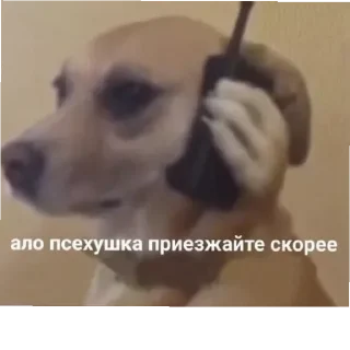 Стикер lol - 5