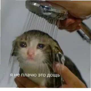 Стикер lol - 4