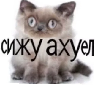 Стикер lol - 9