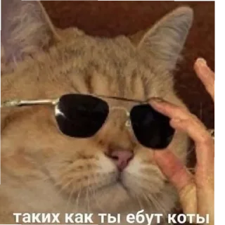 Стикер lol - 10