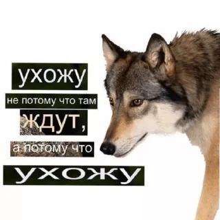 Стикер lol - 3