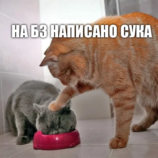 Стикер urkkkk - 1