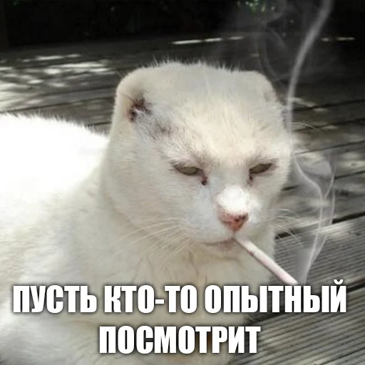 Стикер urkkkk - 1