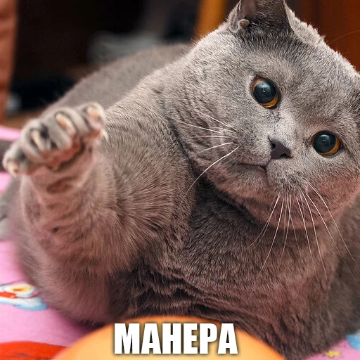 Стикер urkkkk - 1