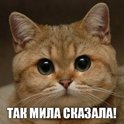 Стикер urkkkk - 1