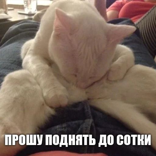 Стикер urkkkk - 1