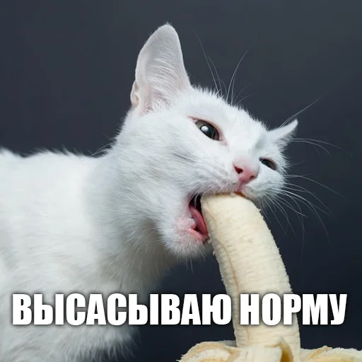 Стикер urkkkk - 1