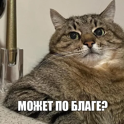 Стикер urkkkk - 1