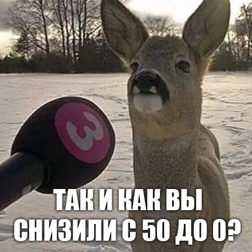 Стикер urkkkk - 1