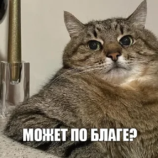 Стикер УРК - 2