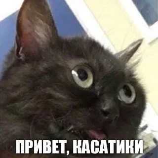 Стикер УРК - 6