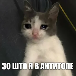 Стикер УРК - 1