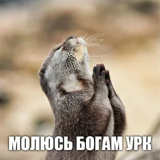 Стикер УРК - 4