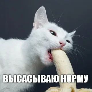 Стикер УРК - 5