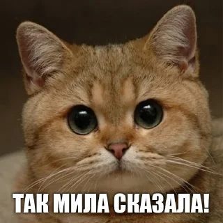 Стикер УРК - 8