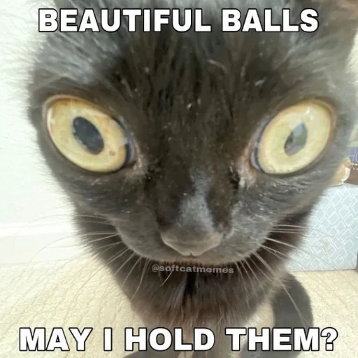 Стикер usasecretunit - 1