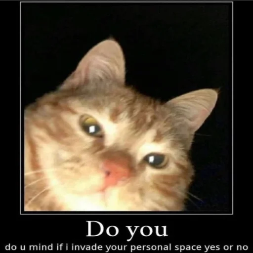 Стикер usasecretunit - 1